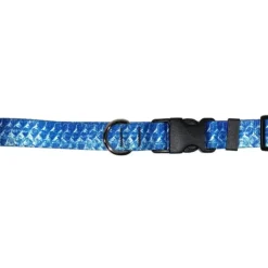 Cognito Dog Collar Tarpon - Your Premium Fishing Gear Store Rods Lines Baits Accessories^ Best