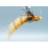 Colby's Gulf Coast Corona Toad #2/0 - Your Premium Fishing Gear Store Rods Lines Baits Accessories^ Hot
