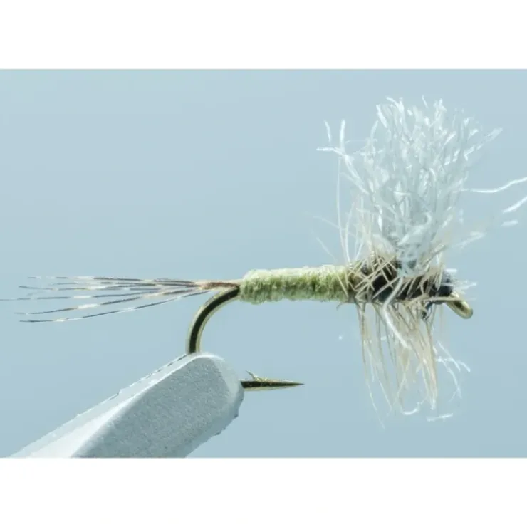 Comparadun BWO #20 - Your Premium Fishing Gear Store Rods Lines Baits Accessories^ Shop