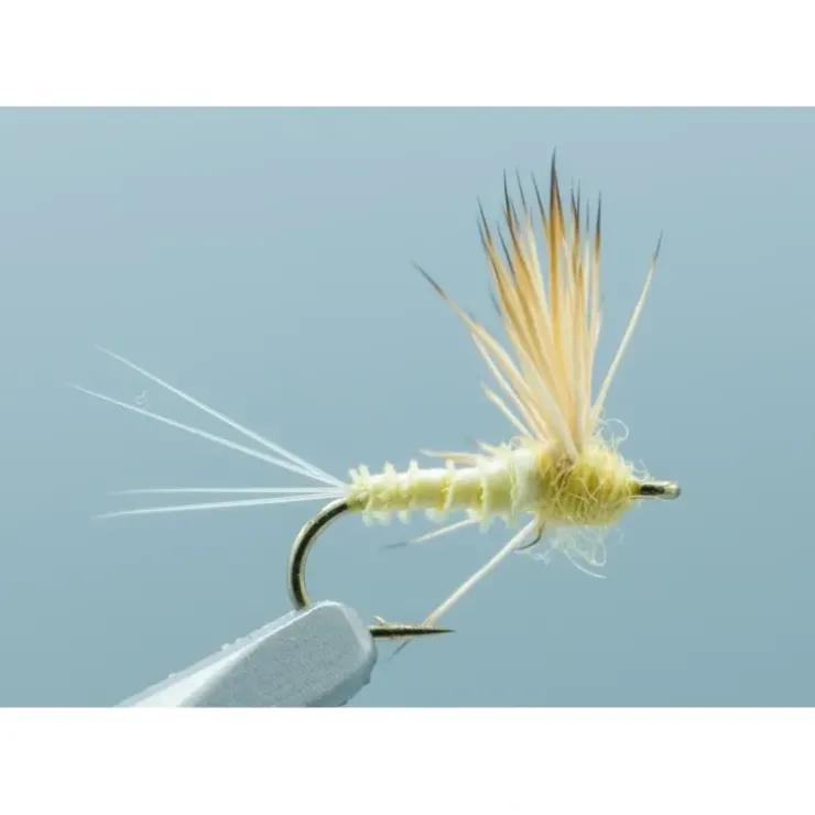 Comparadun PMD - Your Premium Fishing Gear Store Rods Lines Baits Accessories^ Best Sale
