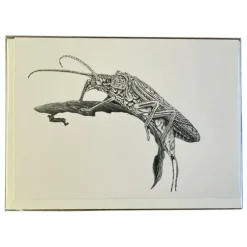 Conner Art Studio Inky Card - Your Premium Fishing Gear Store Rods Lines Baits Accessories^ Cheap