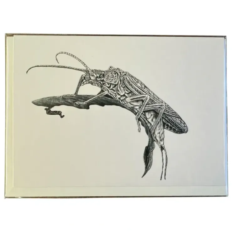 Conner Art Studio Inky Card - Your Premium Fishing Gear Store Rods Lines Baits Accessories^ Cheap