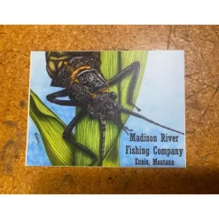 Conner Art Studio Logo Stonefly Sticker - Your Premium Fishing Gear Store Rods Lines Baits Accessories^ Outlet