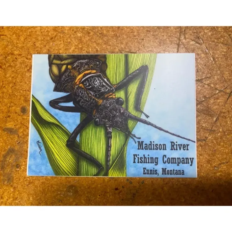 Conner Art Studio Logo Stonefly Sticker - Your Premium Fishing Gear Store Rods Lines Baits Accessories^ Outlet