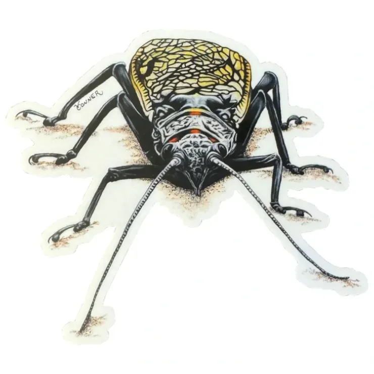 Conner Art Studio Stoney Sticker - Your Premium Fishing Gear Store Rods Lines Baits Accessories^ Hot