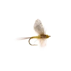 Crippled Dun BWO - Your Premium Fishing Gear Store Rods Lines Baits Accessories^ Clearance