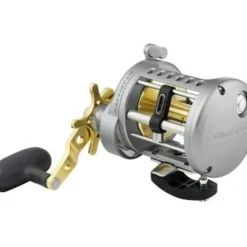 Daiwa Saltist Conventional Reel, 4 (4 Crbb) + 1 , 6.1 : 1 - Your Premium Fishing Gear Store Rods Lines Baits Accessories^ Best