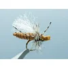 Daniel's Tan Hegan Ant #8 - Your Premium Fishing Gear Store Rods Lines Baits Accessories^ Shop
