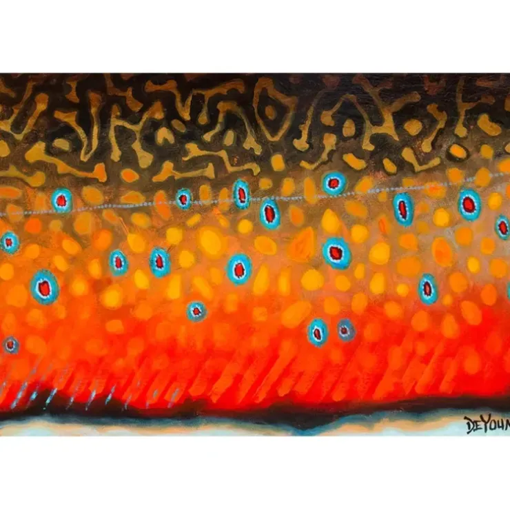 DeYoung Brook Trout Flank October Canvas Print - Your Premium Fishing Gear Store Rods Lines Baits Accessories^ Hot