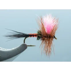 Dorsey's Cherry Limeade #16 - Your Premium Fishing Gear Store Rods Lines Baits Accessories^ Shop