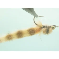 Dorsey's Kwan - Your Premium Fishing Gear Store Rods Lines Baits Accessories^ Cheap