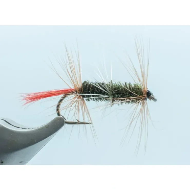 Double Renegade #10 - Your Premium Fishing Gear Store Rods Lines Baits Accessories^ Hot
