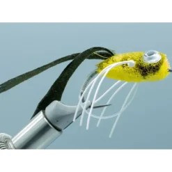 Dry Rind Frog Popper #6 - Your Premium Fishing Gear Store Rods Lines Baits Accessories^ New
