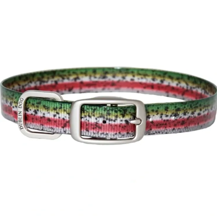 Dublin Dog KOA Dublin Dog Collar - Your Premium Fishing Gear Store Rods Lines Baits Accessories^ Online