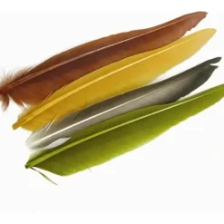 DUCK QUILL - Your Premium Fishing Gear Store Rods Lines Baits Accessories^ Best