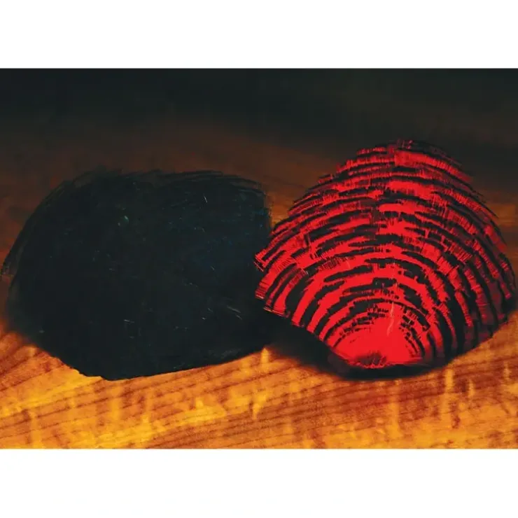 Dyed Golden Pheasant Tip - Your Premium Fishing Gear Store Rods Lines Baits Accessories^ Sale