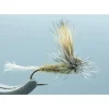 E/C Caddis Olive #16 - Your Premium Fishing Gear Store Rods Lines Baits Accessories^ Outlet