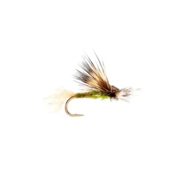 EC Caddis Olive - Your Premium Fishing Gear Store Rods Lines Baits Accessories^ Best