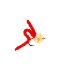Eggi Juan Kanobi Red Tungsten Beadhead - Your Premium Fishing Gear Store Rods Lines Baits Accessories^ Hot