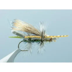 Emma's Stone Skwala #10 - Your Premium Fishing Gear Store Rods Lines Baits Accessories^ Clearance