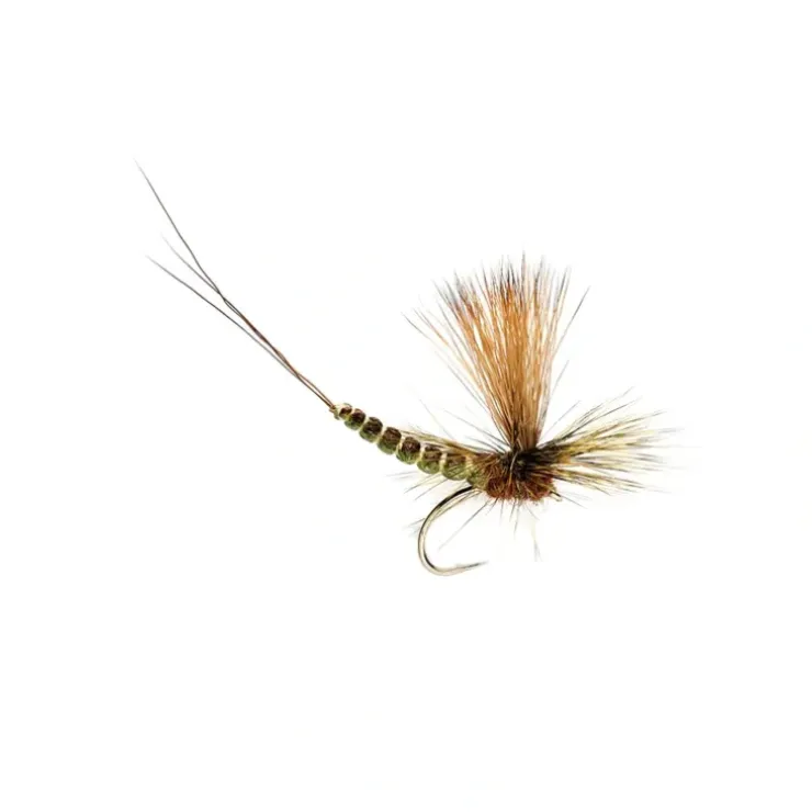 Extended Body Paradrake - Your Premium Fishing Gear Store Rods Lines Baits Accessories^ Hot