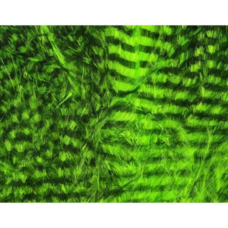 Fine Black Barred Marabou Feathers - Your Premium Fishing Gear Store Rods Lines Baits Accessories^ Cheap