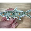 Florida Orange Tarpon Sticker - Your Premium Fishing Gear Store Rods Lines Baits Accessories^ Flash Sale