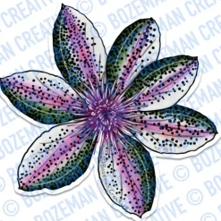 Flower Rainbow Trout Sticker - Your Premium Fishing Gear Store Rods Lines Baits Accessories^ New