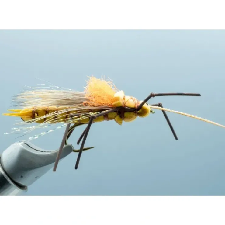 Fluttering Stone Morrish Golden #8 - Your Premium Fishing Gear Store Rods Lines Baits Accessories^ Hot