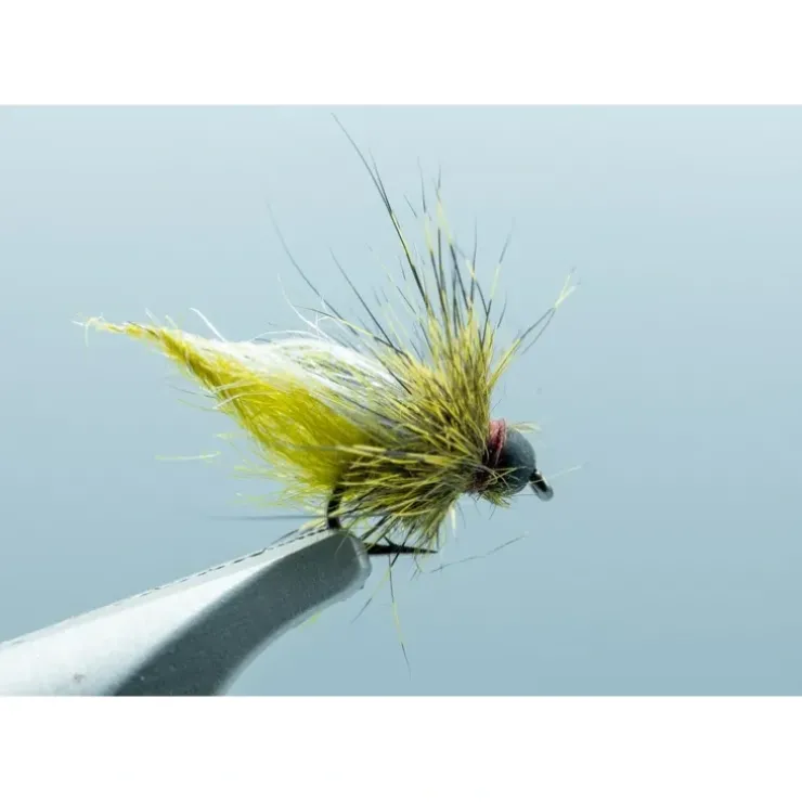 Galloup's BH UV Caddis Pupa Olive #18 - Your Premium Fishing Gear Store Rods Lines Baits Accessories^ Cheap