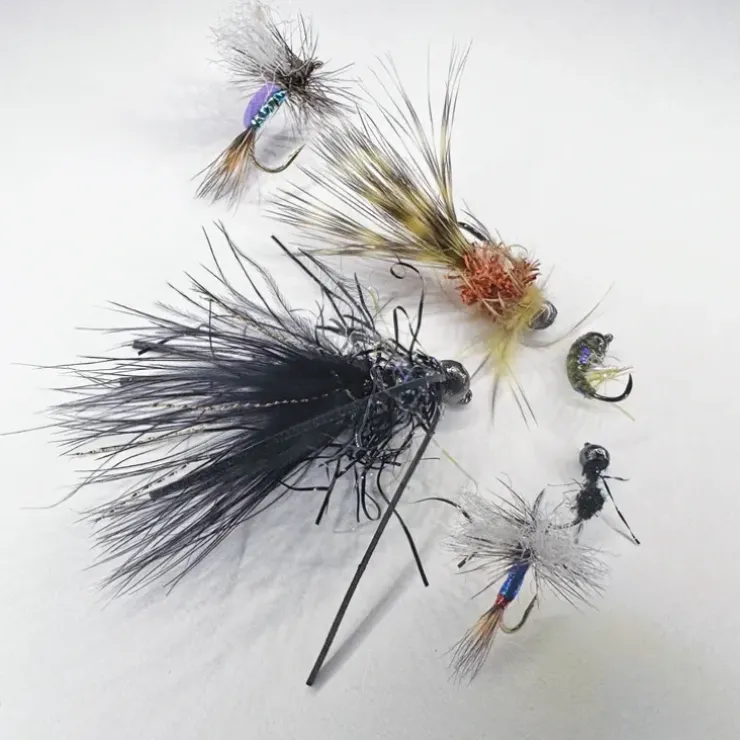 George Daniel Signature Series Fly Collection - Your Premium Fishing Gear Store Rods Lines Baits Accessories^ Best Sale