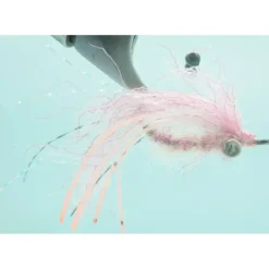 Ghost Shrimp Pink #6 - Your Premium Fishing Gear Store Rods Lines Baits Accessories^ Store