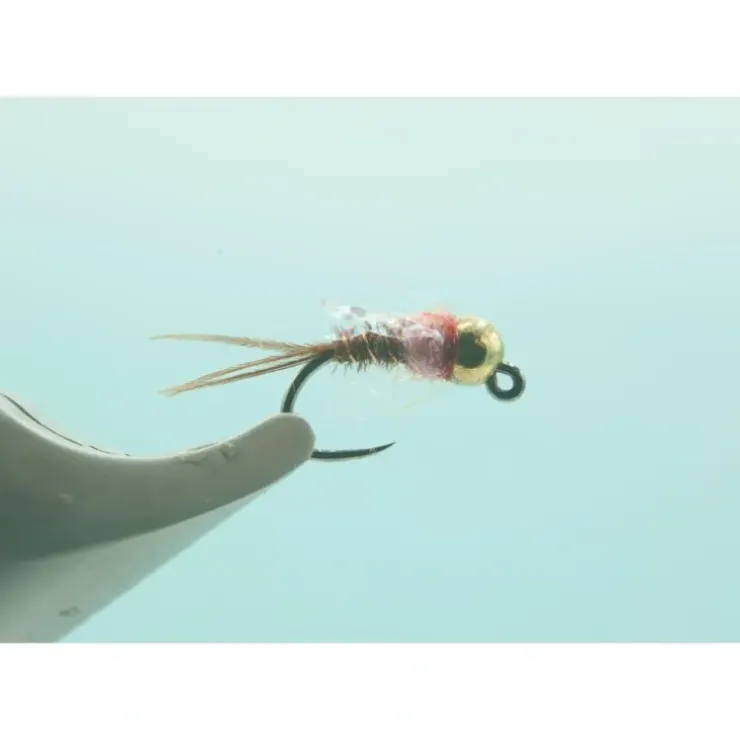 Gold BH 2.8 French Dip Pink #16 - Your Premium Fishing Gear Store Rods Lines Baits Accessories^ Cheap