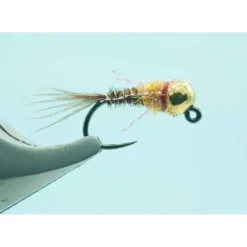 Gold BH 2.8 French Dip Shrimp #14 - Your Premium Fishing Gear Store Rods Lines Baits Accessories^ Outlet