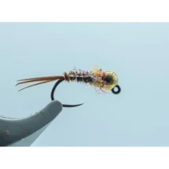 Gold BH 3.3 French Dip Shrimp #14 - Your Premium Fishing Gear Store Rods Lines Baits Accessories^ Shop
