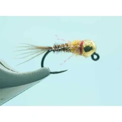 Gold BH French Dip Shrimp #12 3.8mm Bead - Your Premium Fishing Gear Store Rods Lines Baits Accessories^ Cheap