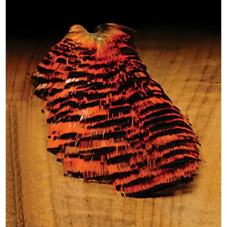Golden Pheasant - Your Premium Fishing Gear Store Rods Lines Baits Accessories^ Clearance