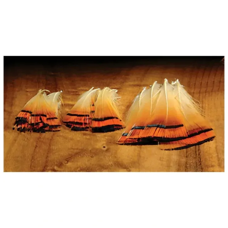 Golden Pheasant Tippets - Your Premium Fishing Gear Store Rods Lines Baits Accessories^ Fashion