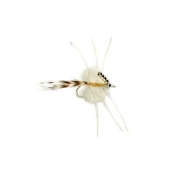 Grand Slam - Your Premium Fishing Gear Store Rods Lines Baits Accessories^ Best