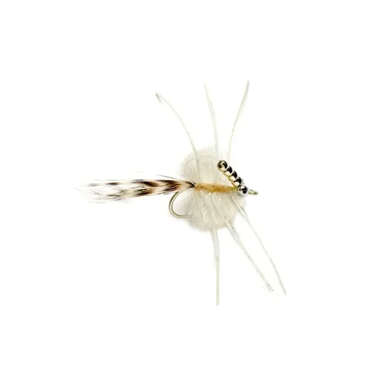 Grand Slam - Your Premium Fishing Gear Store Rods Lines Baits Accessories^ Best