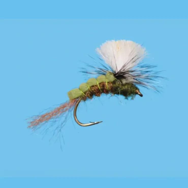 Green Drake Sir Francis - Your Premium Fishing Gear Store Rods Lines Baits Accessories^ New