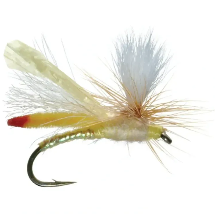 Headlight Yellow Sallie - Your Premium Fishing Gear Store Rods Lines Baits Accessories^ Shop