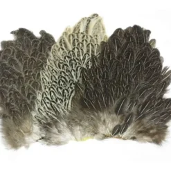 HEN SADDLE PATCHES - Your Premium Fishing Gear Store Rods Lines Baits Accessories^ Sale