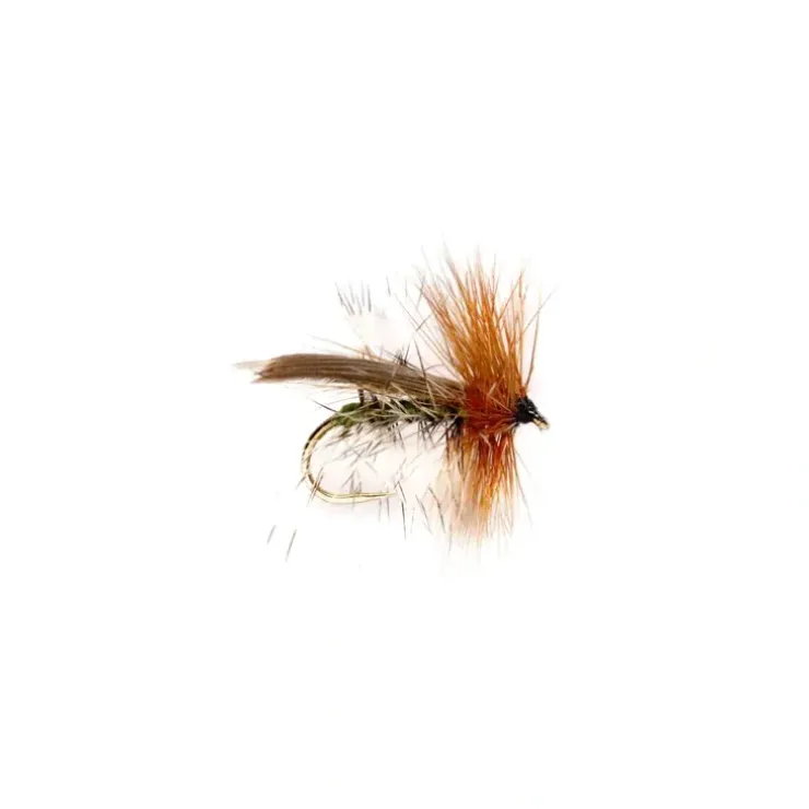 Henryville Special - Your Premium Fishing Gear Store Rods Lines Baits Accessories^ Online