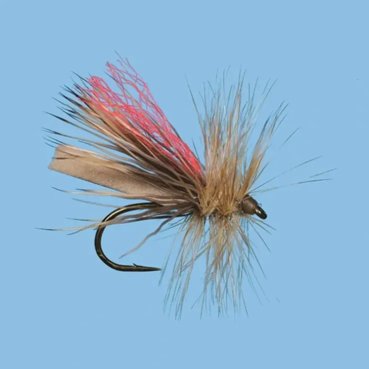 Hi-Vis Caddis - Your Premium Fishing Gear Store Rods Lines Baits Accessories^ Clearance