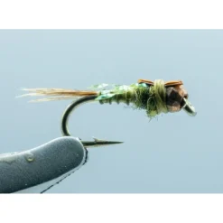 Hogan S&M Nymph TB Olive #16 - Your Premium Fishing Gear Store Rods Lines Baits Accessories^ Shop