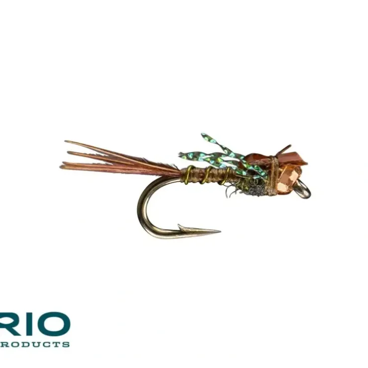 Hogan's S & M Olive - Your Premium Fishing Gear Store Rods Lines Baits Accessories^ Best