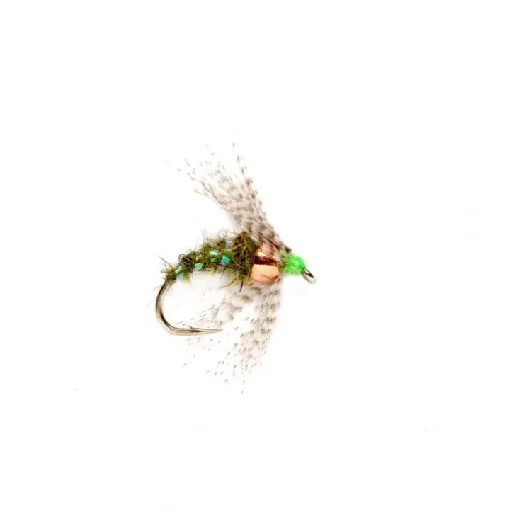 Holy Grail Olive - Your Premium Fishing Gear Store Rods Lines Baits Accessories^ Online