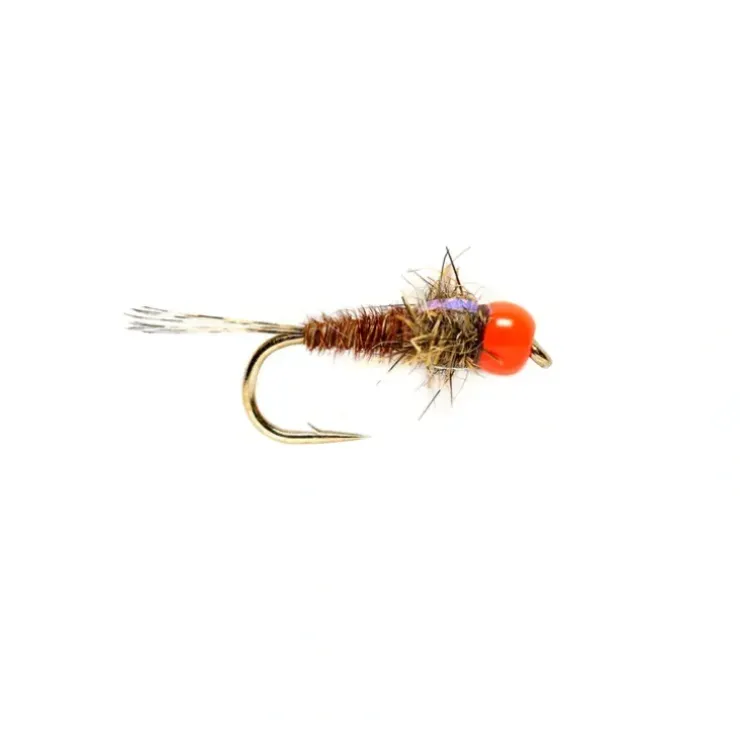 Hot Head Euro Pheasant Tail Orange - Your Premium Fishing Gear Store Rods Lines Baits Accessories^ Sale