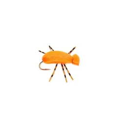 Indicator Beetle - Your Premium Fishing Gear Store Rods Lines Baits Accessories^ Online